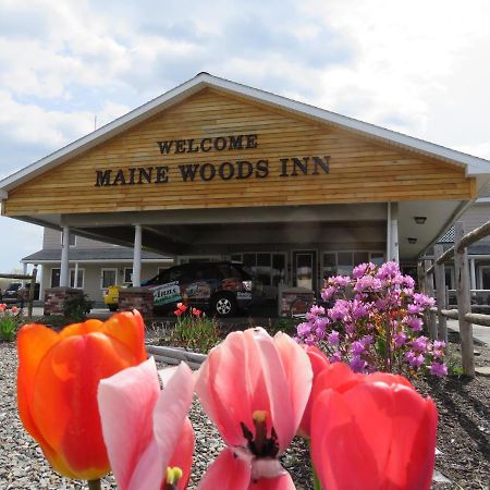 Maine Woods Inn ブルワー  エクステリア 写真