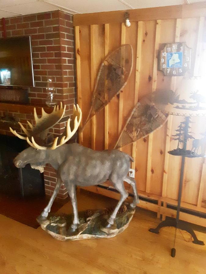 Maine Woods Inn ブルワー  エクステリア 写真