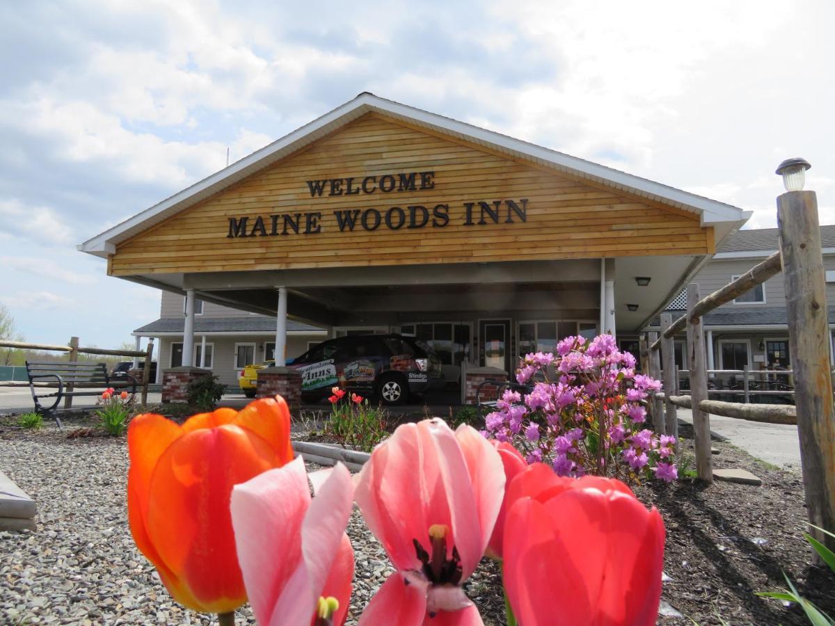 Maine Woods Inn ブルワー  エクステリア 写真